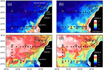 Variability in Water-Column Respiration and Its Dependence on Organic Carbon Sources in the Canary Current Upwelling Region